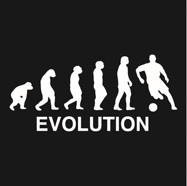 Picture of 129 EVOLUTION SOCCER