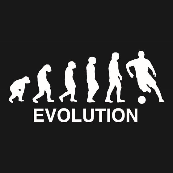 Image de 129 EVOLUTION SOCCER