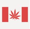 Picture of 266 CANADA MARIJUANA FLAG LEAF
