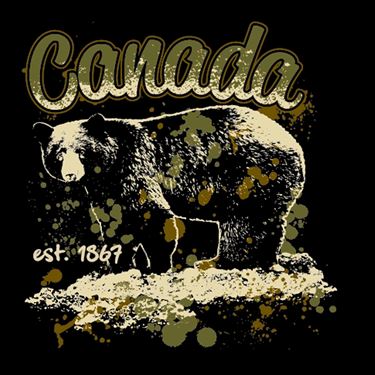 Picture of 155 Bear Splatter Paint Canada