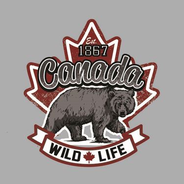 Picture of 296 CANADA WILD BEAR
